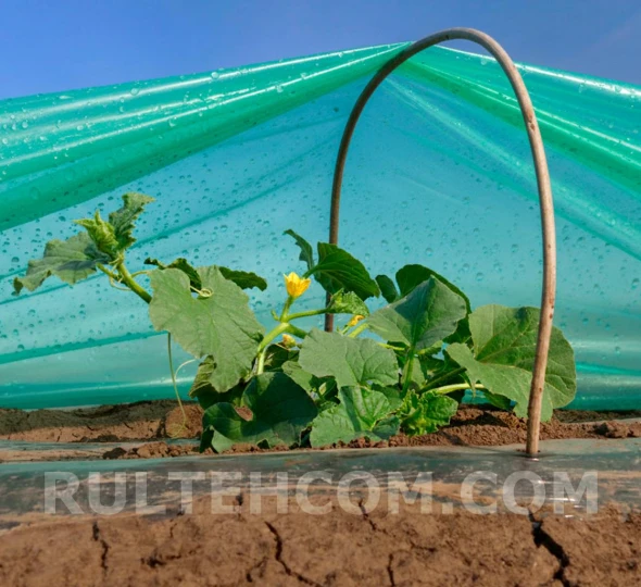 Folie de polietilena anti UV RB (100 micr) H-6m L-50m - image 3