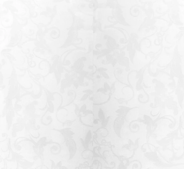 Lambriu PVC 250x8x6000mm - Flora - image 2