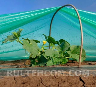 Пленка полиэтиленовая светостабилизированная РБ (120 мкм) Н-4м L-50м - image thumb 2