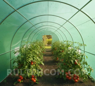 Пленка полиэтиленовая светостабилизированная ТР (120 мкм) Н-6м L-50м - image thumb 4