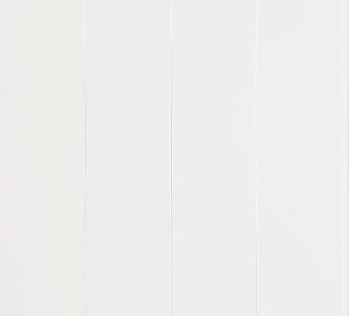 Panou de perete MDF TRIUMF 238x2600mm - Alb clasic - image thumb 2