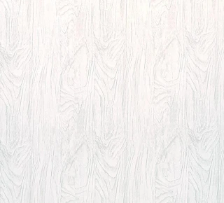 Lambriu PVC 250x8x6000mm – Stejar alb - image thumb 2